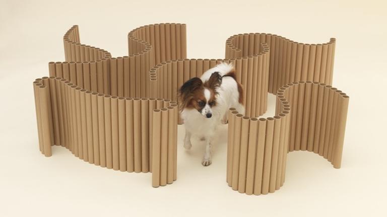 Fast wie in einem kleinen Labyrinth läuft ein kleiner Hund läuft zwischen gewellten Papierstücken umher. Fast wie in einem kleinen Labyrinth läuft ein kleiner Hund läuft zwischen gewellten Papierstücken umher.