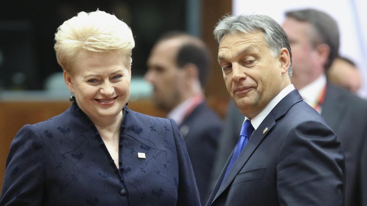 Die Regierungschefs Litauens und Ungarns, Dalia Grybauskaite und Viktor Orban.