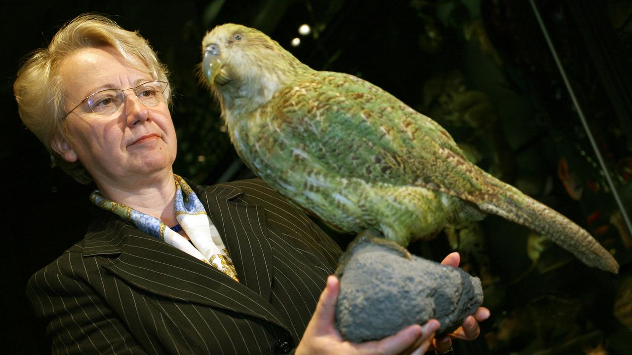 Einen ausgestopften Kakapo oder Eulenpapagei hältBundesbildungsministerin Annette Schavan am Freitag (13.07.2007) imMuseum für Naturkunde in Berlin in den Händen. Schavan übernimmtanlässlich der Wiedereröffnung des Museums die Patenschaft für den