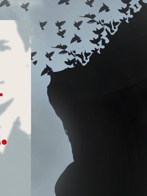 Buchcover im Vordergrund, im Hintergrund schwarzes Profil eines Kopfes, aus dessen Hinterkopf Vögel fliegen.