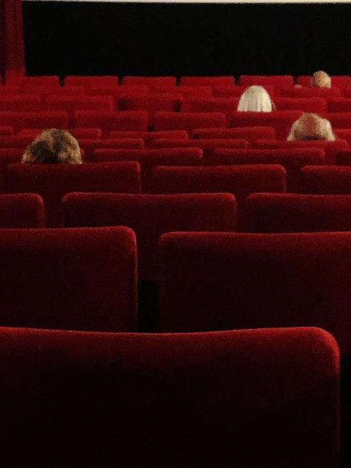 Kinosaal eines Hamburger Programmkinos mit vielen leeren Kinosesseln.
