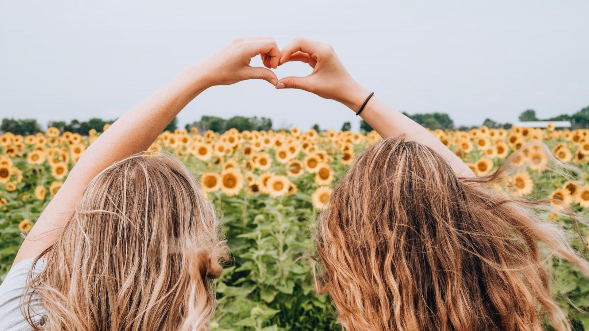 Zwei Mädchen sind von hinten in einem Sonnenblumenfeld zu sehen, ihre Hände formen zusammen ein Herz.