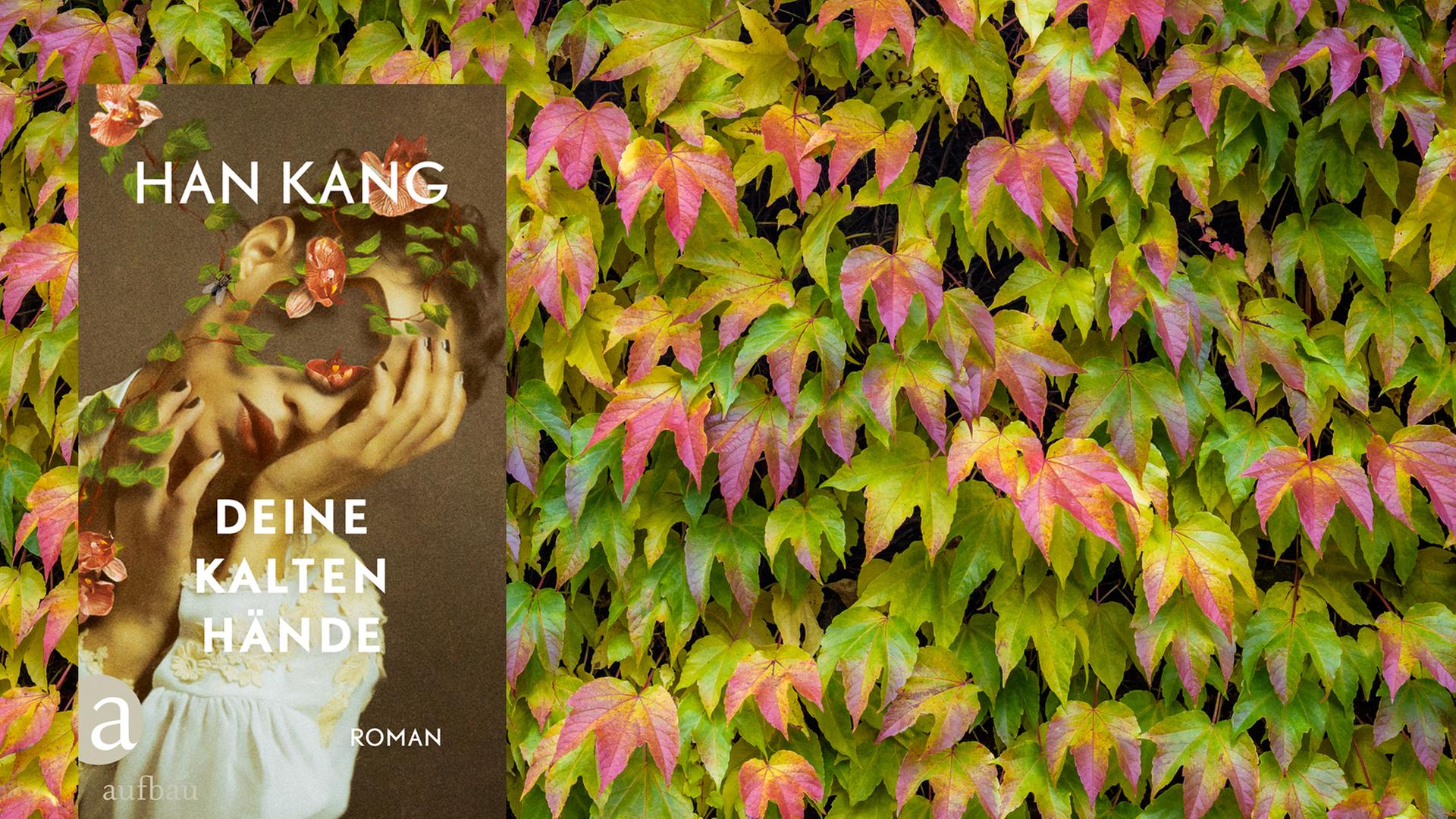 Buchcover von Han Kangs "Deine kalten Hände" vor Hintergrund.