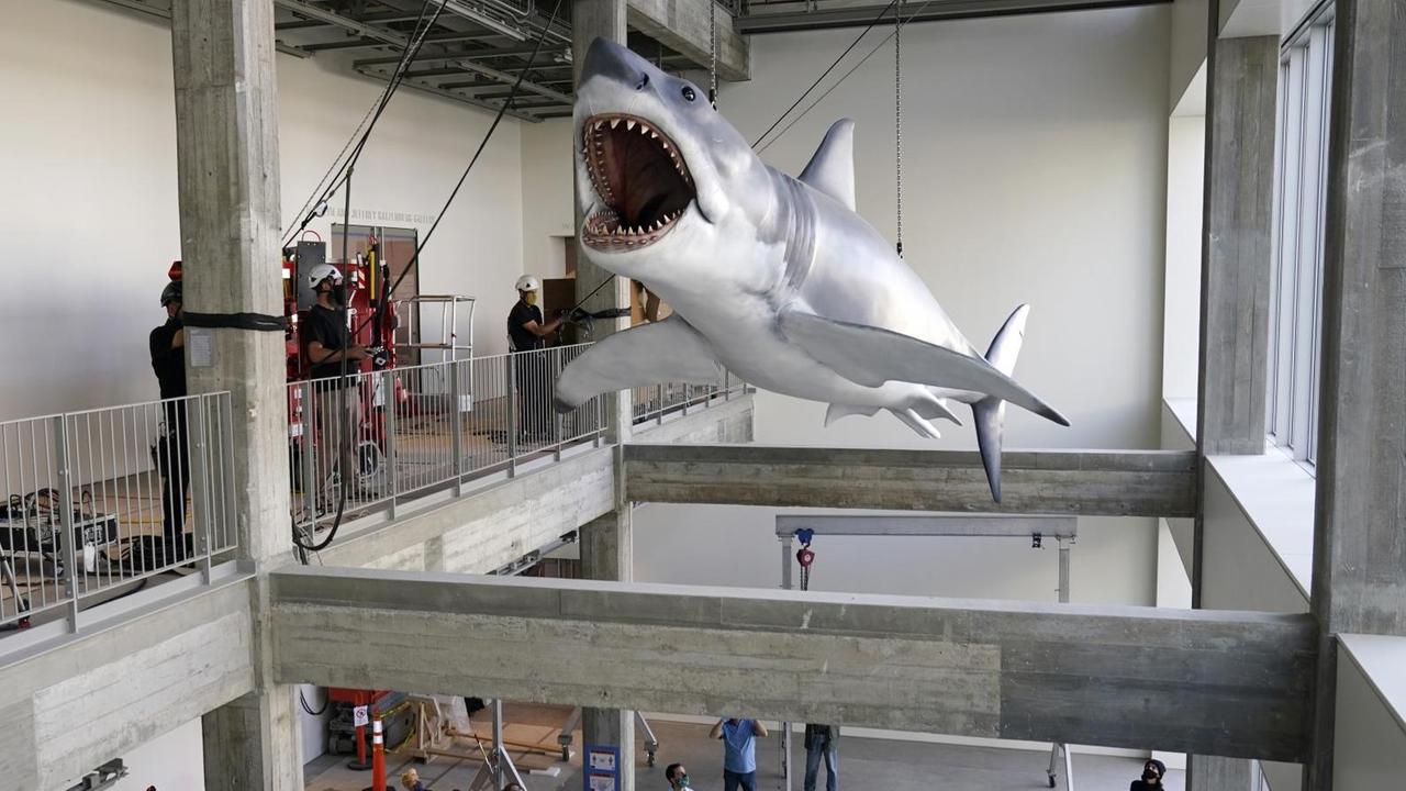 "Jaws" Installation mit dem Modell eine weißen Hais im neuen Academy Museum of Motion Pictures "Jaws" Installation mit dem Modell eine weißen Hais im neuen Academy Museum of Motion Pictures