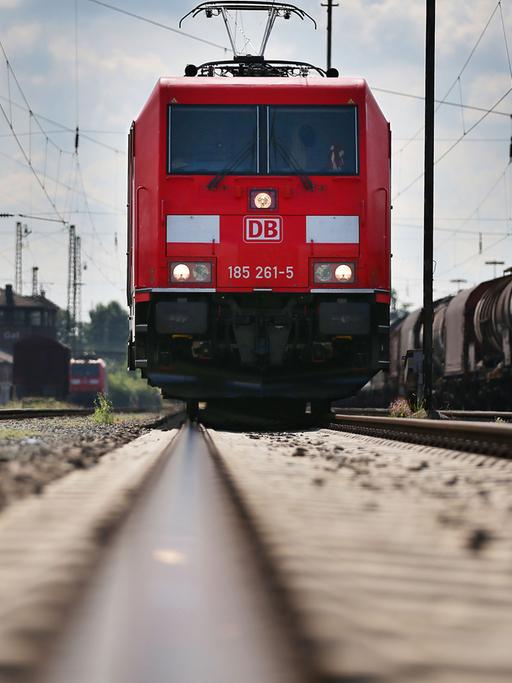 Eine Bahn auf einem Gleis in Köln.