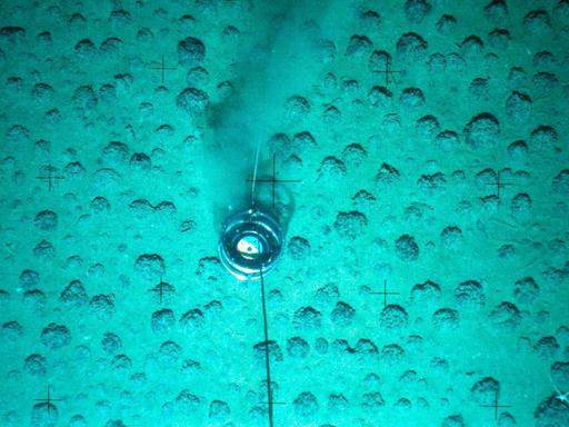 Manganknollen werden am Meeresboden in einer Tiefe von mehreren tausend Metern im Pazifik untersucht