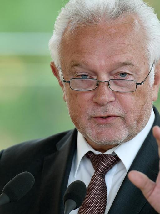 Der FDP-Politiker Wolfgang Kubicki