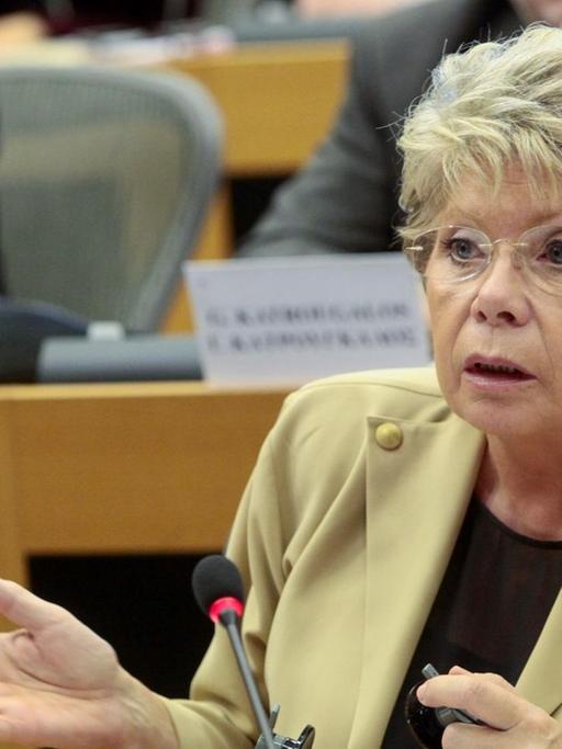 Viviane Reding, Vizepräsidentin der Europäischen Kommission a.D.