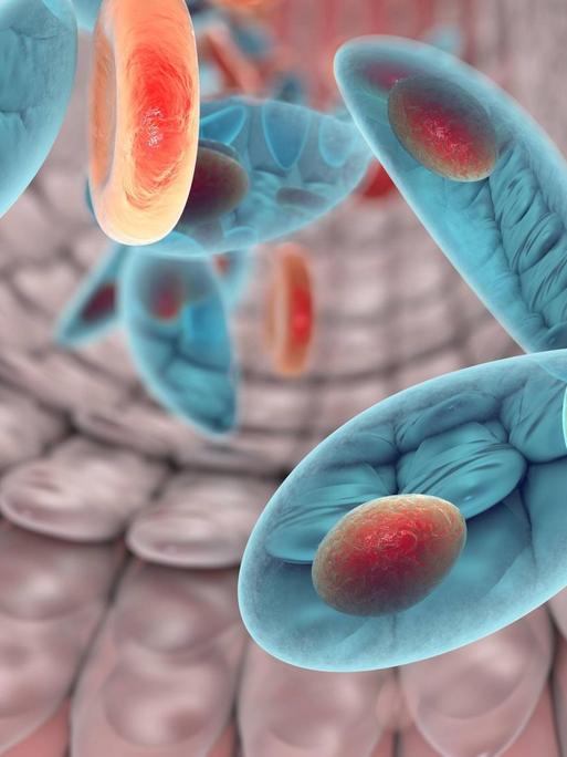 Eine Computergrafik zeigt den Parasiten Toxoplasma gondii im Blut