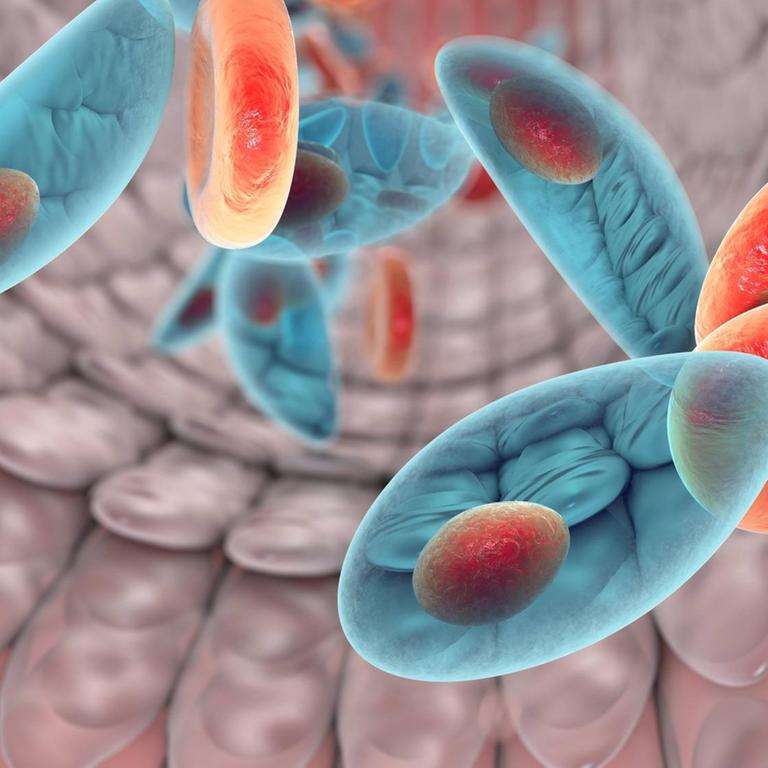 Eine Computergrafik zeigt den Parasiten Toxoplasma gondii im Blut