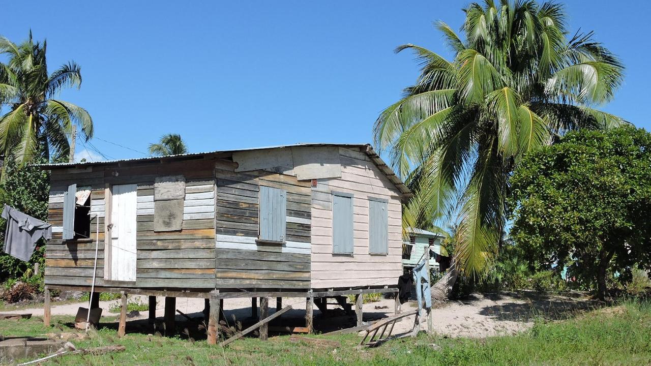 Ein Wohnhaus aus Holz auf Stelzen auf einer Wiese neben Palmen unter blauem Himmel.
