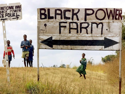 In Simbabwe wurden weiße Farmer enteignet. Die Regierung schüchtert sie brutal ein.