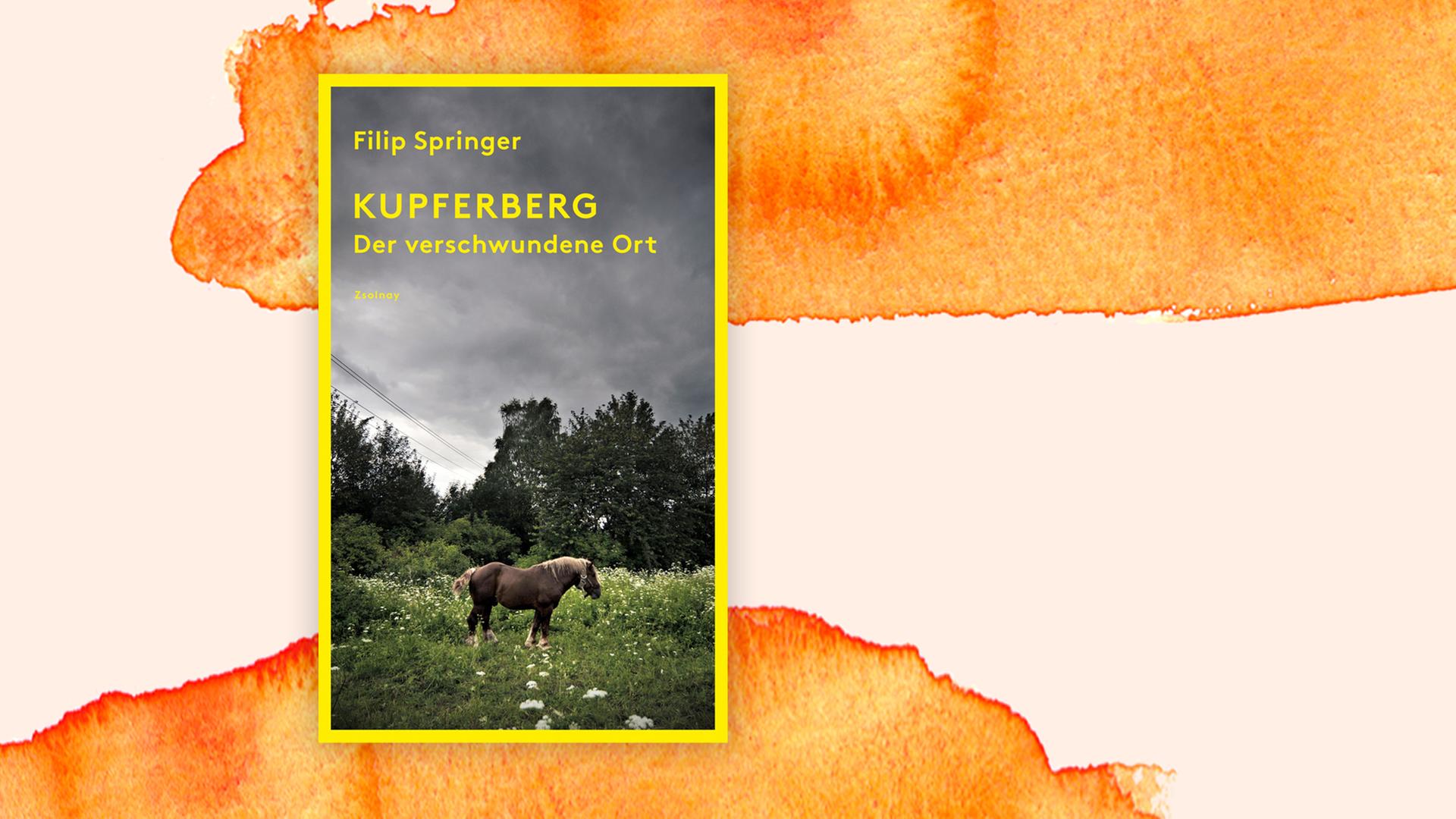 Das Buchcover zeigt ein Pferd auf einer Weide, dahinter ein aquarellierter Hintergrund.