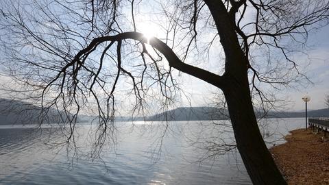 Das Sonnenlicht fällt am 27.02.2014 am Edersee bei Waldeck (Hessen) über die Wasseroberfläche auf einen Baum.