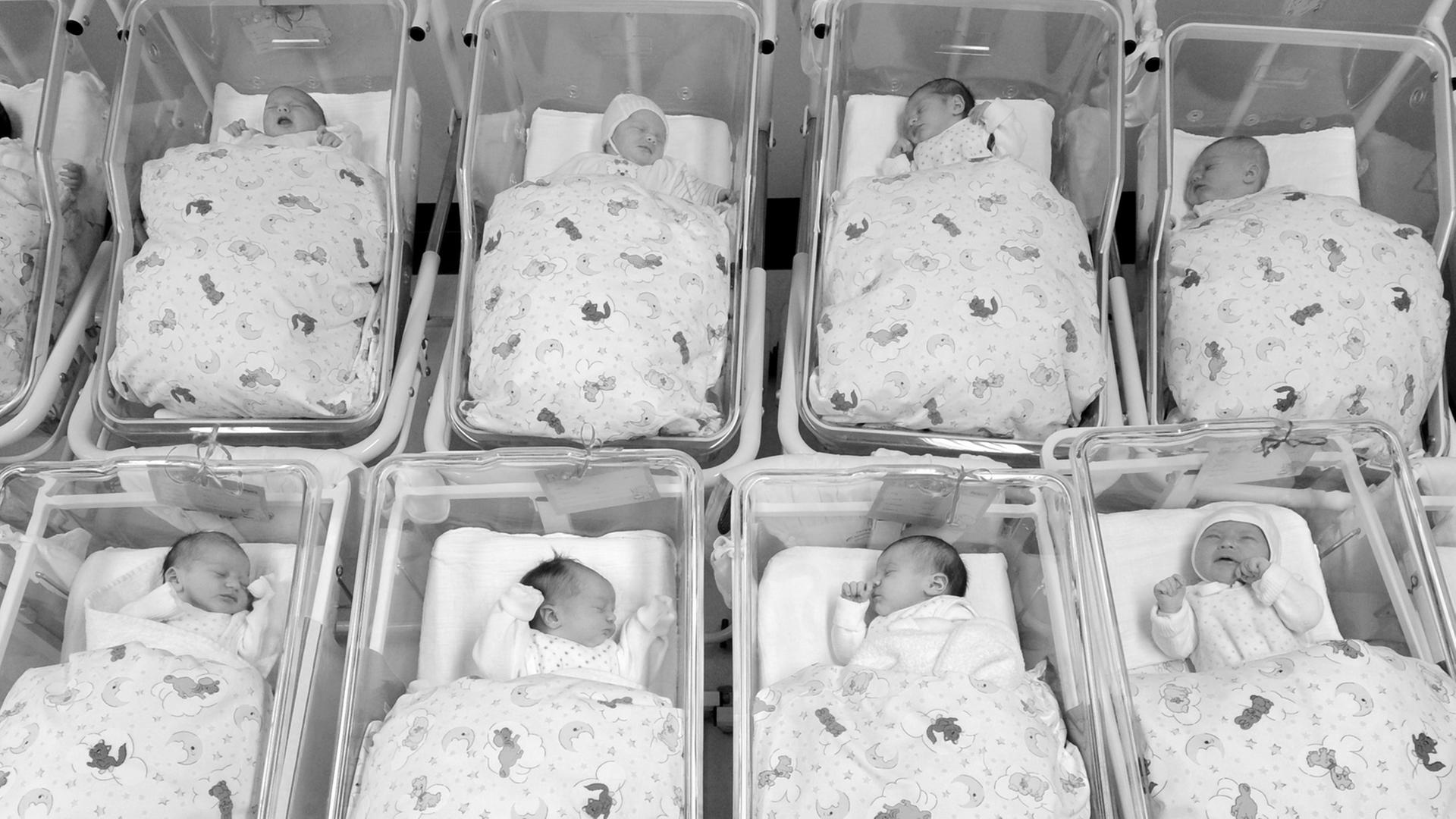 Für ein Foto liegen viele Babys zusammen auf der Neugeborenenstation in ihren Bettchen. Das Foto ist in Schwarzweiß aufgenommen.