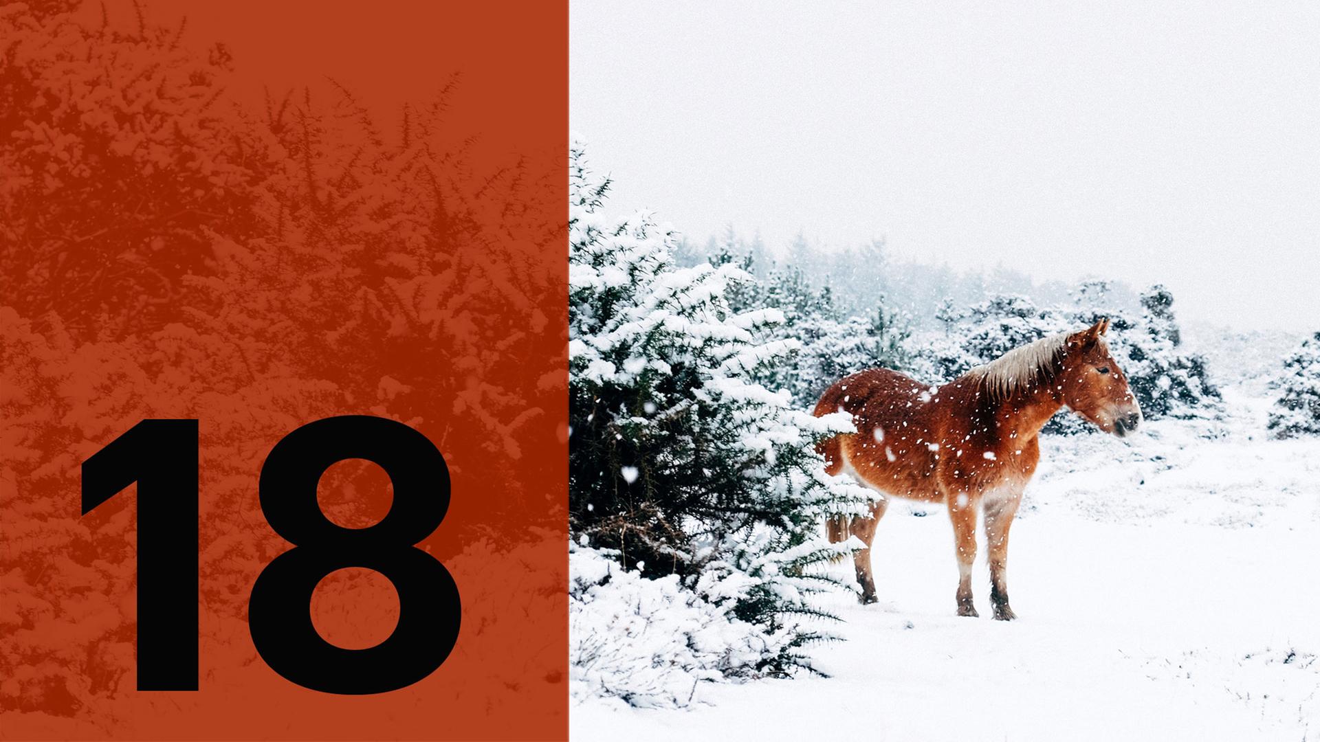 Im Hintergrund ein Pferd im Schnee, im Vordergrund die Zahl 18. Im Hintergrund ein Pferd im Schnee, im Vordergrund die Zahl 18.