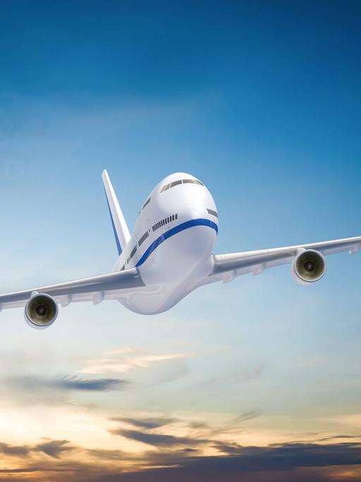 Ein Flugzeug in der Luft