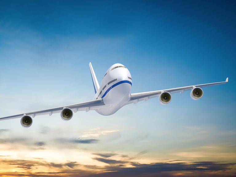 Ein Flugzeug in der Luft