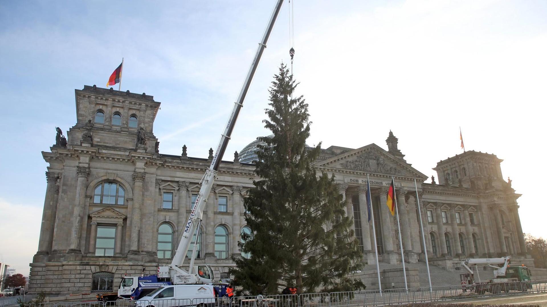 24.11.2020, Berlin: Mit einem Kran wird vor dem Reichstagsgebäude, dem Sitz des Deutschen Bundestages, der diesjährige Weihnachtsbaum aufgestellt. Foto: Wolfgang Kumm/dpa | Verwendung weltweit