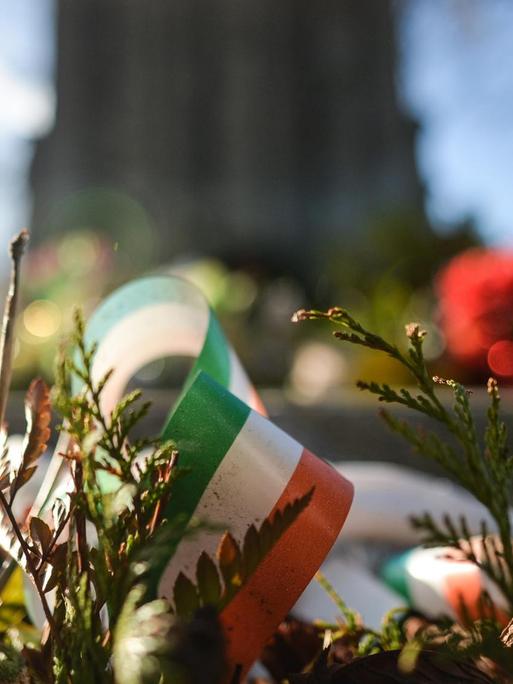 Zwischen Nadelzweigen liegt die Irische Flagge als Band