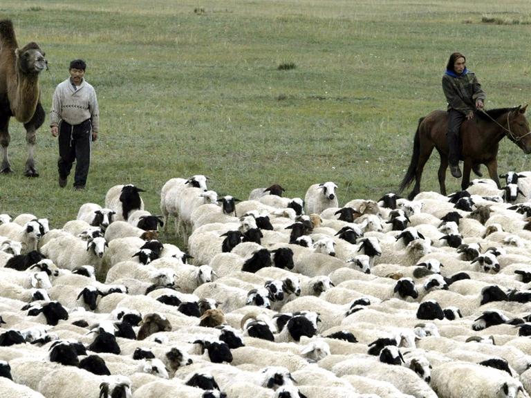 Nomaden in der Mongolei, 2003