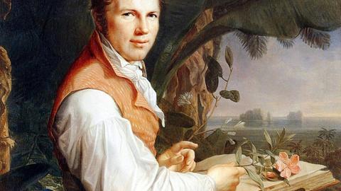 Gemälde von Alexander von Humboldt. Er sitzt in einer Landschaft, schaut zum Betrachter und in einem geöffneten Buch liegt eine Blume vor ihm.