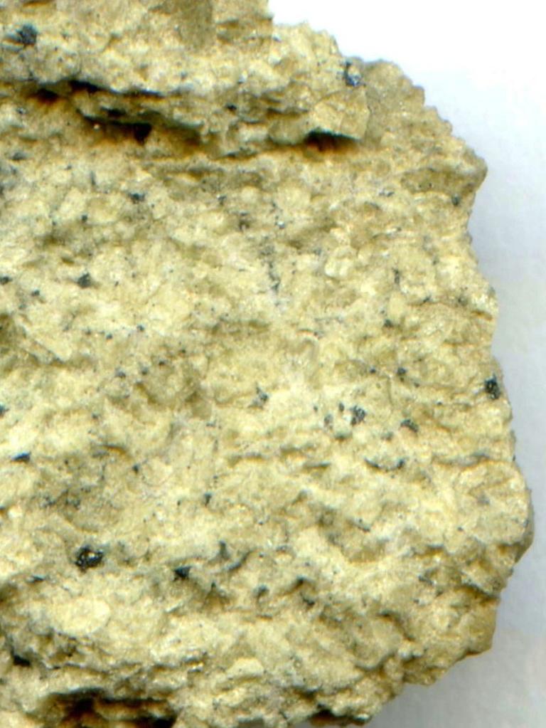 Nicht immer rot: Dieses Bruchstück des Meteoritenfalls von Chassigny zeigt eine leicht grünliche Färbung