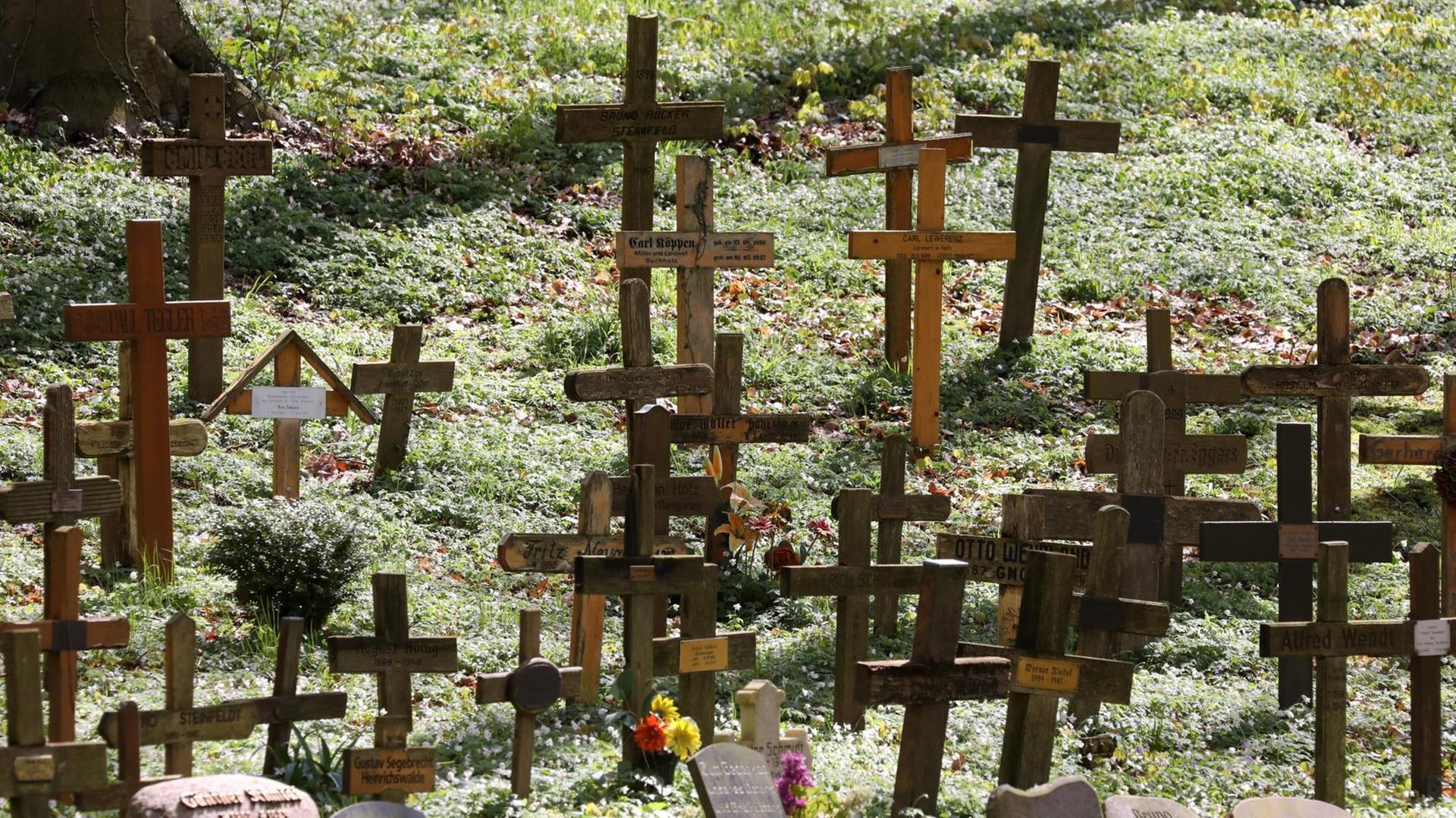 Der Südliche Friedhof der Toten des NKWD-Speziallagers in der Mahn- und Gedenkstätte Fünfeichen