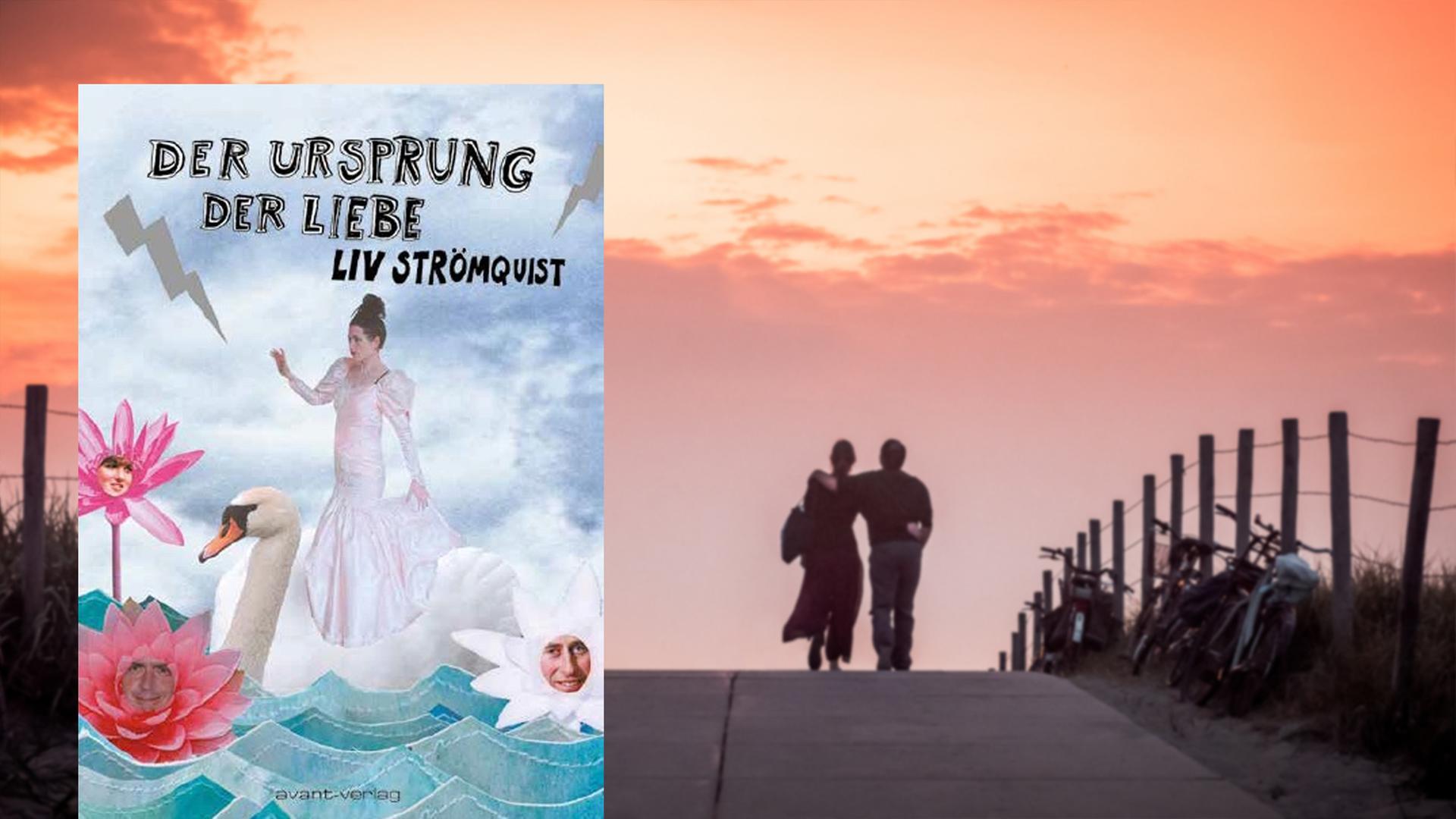 Buchcover Liv Strömquist: Der Ursprung der Liebe