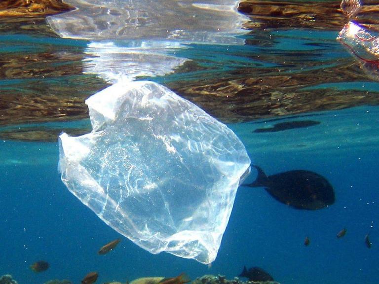 Plastiktüten treiben im Roten Meer vor Ägypten
