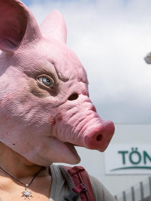 Eine Person trägt eine Schweine-Maske und steht während einer Demonstration gegen Tierquälerei vor dem Betriebsgelände der Fleischfabrik Tönnies.