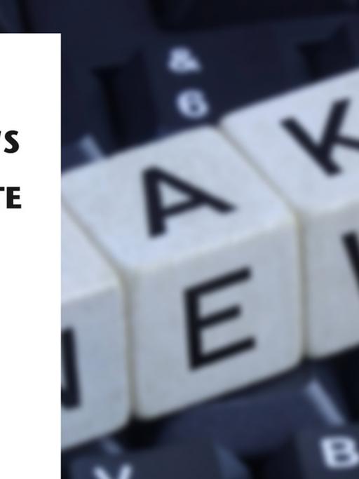 Würfel bilden den Schriftzug "Fake News" auf einer Computer-Tastatur (im Hintergrund). Das Buchcover (im Vordergrund)