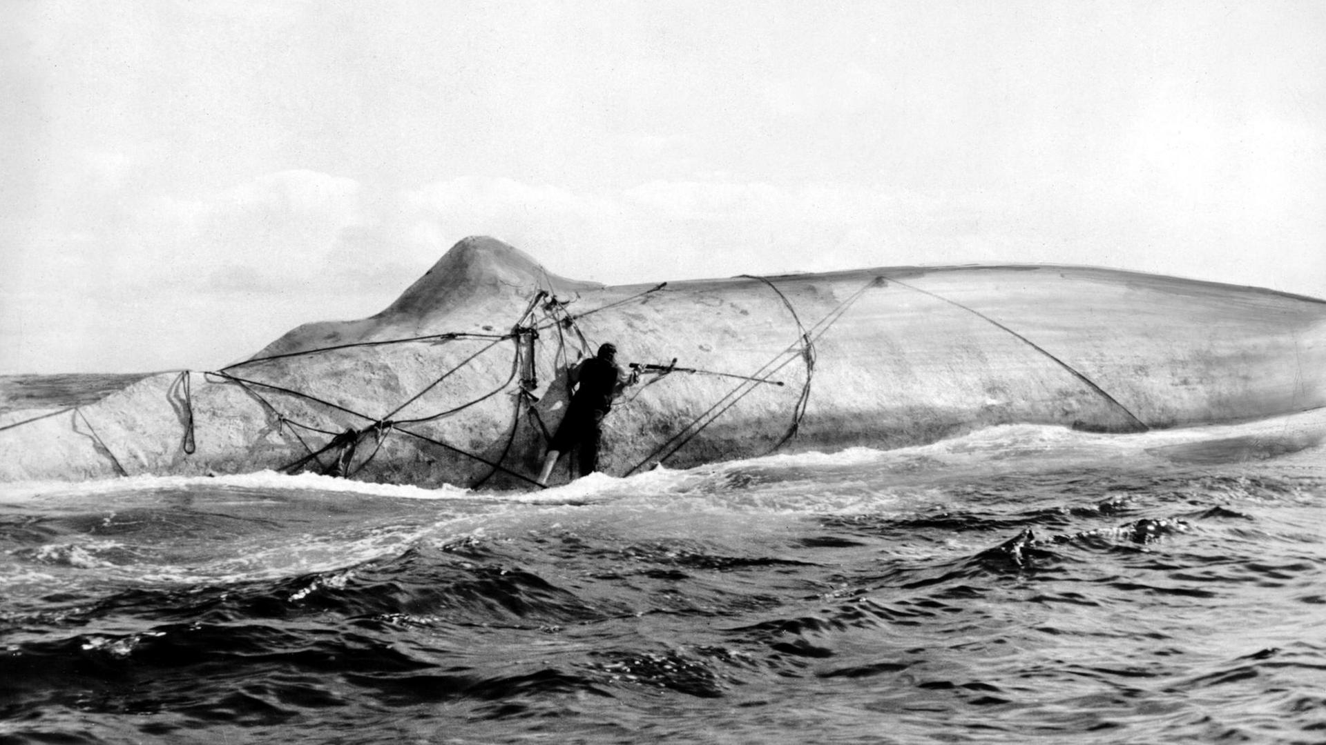 Ein Szenenbild aus "Moby Dick" zeigt, Kapitän Ahab und den Wal im Kampf