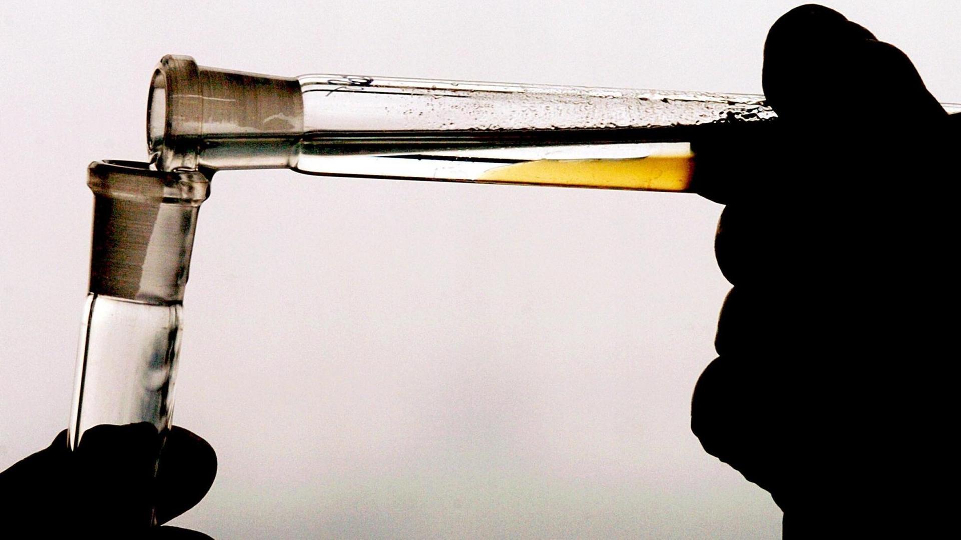 Eine Laborantin dekantiert am 16.02.2004 im Institut für Biochemie in der Sporthochschule in Köln eine Urin-Dopingprobe.