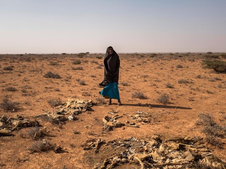 Eine Frau steht auf einer ausgetrockneten Ebene vor blauem Himmel. Im roten Sand liegen die Skelette verhungerter Tiere.