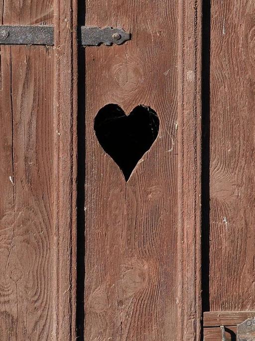 Die Tür eines mit einem Herz verzierten Toilettenhäuschens auf einem Bauernhof in Birstein-Obersotzbach (Hessen), aufgenommen am 12.10.2005.