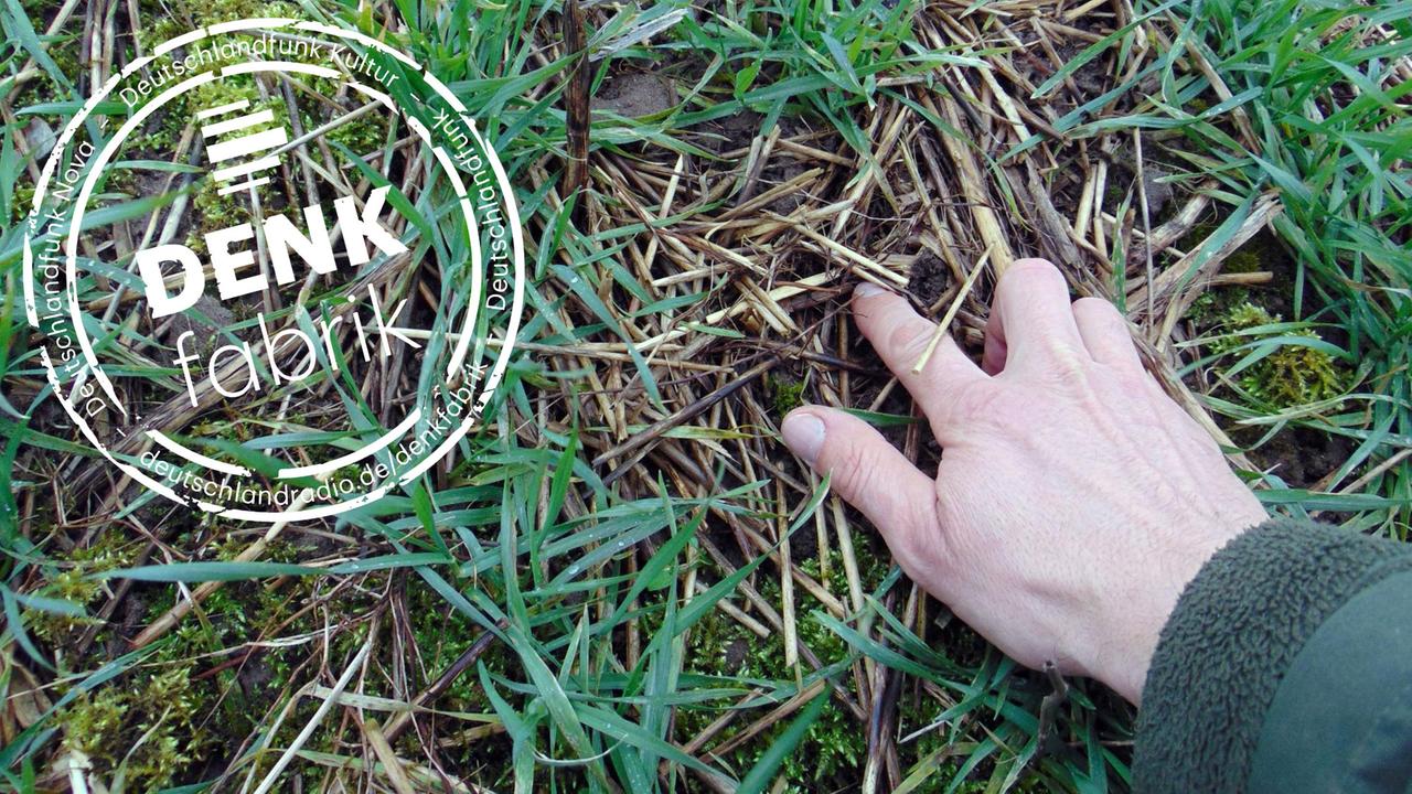 Wirkung intensiver Landwirtschaft - "Ein Artenverlust von neun Prozent"
