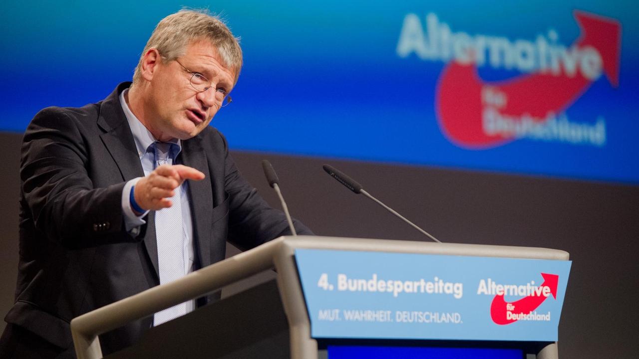 Der AfD-Politiker Jörg Meuthen auf dem Bundesparteitag in Hannover am 28. November 2015.