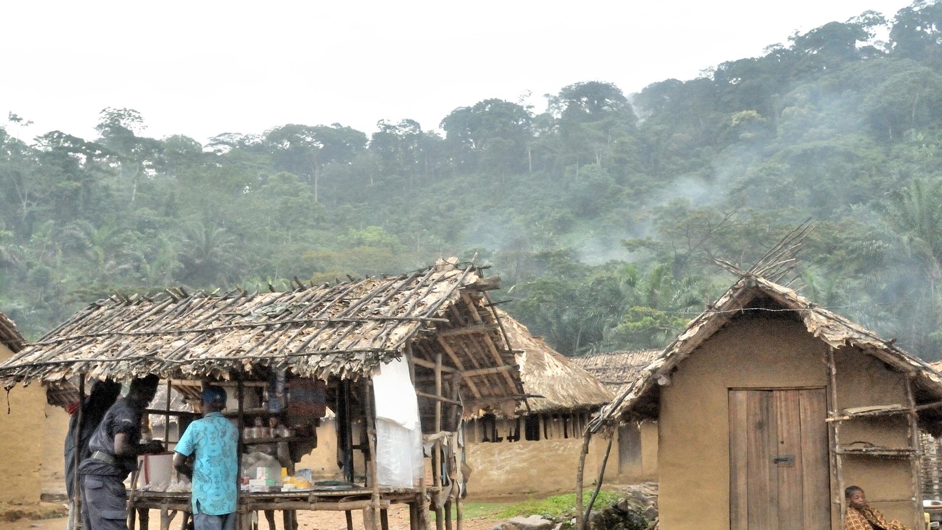 In der Ortschaft Luvungi in der Provinz Nord-Kivu im Osten der Demokratischen Republik Kongo wurden 2010 mindestens 242 Frauen, darunter auch 20 Kinder von den FDLR-Rebellen (Demokratische Kräfte zur Befreiung Ruandas) vergewaltigt. Einige von ihnen mehrfach. UN-Soldaten waren im Nachbardorf stationiert und griffen nicht ein.