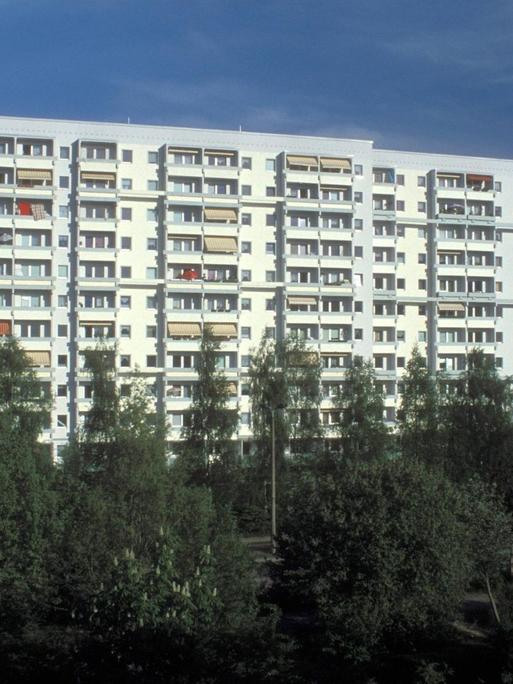 Ein Plattenbau im Schweriner Stadtviertel Dreesch, rechts davon ist auf der Aufnahme von 2004 in der Nähe der Fernsehturmzu sehen.