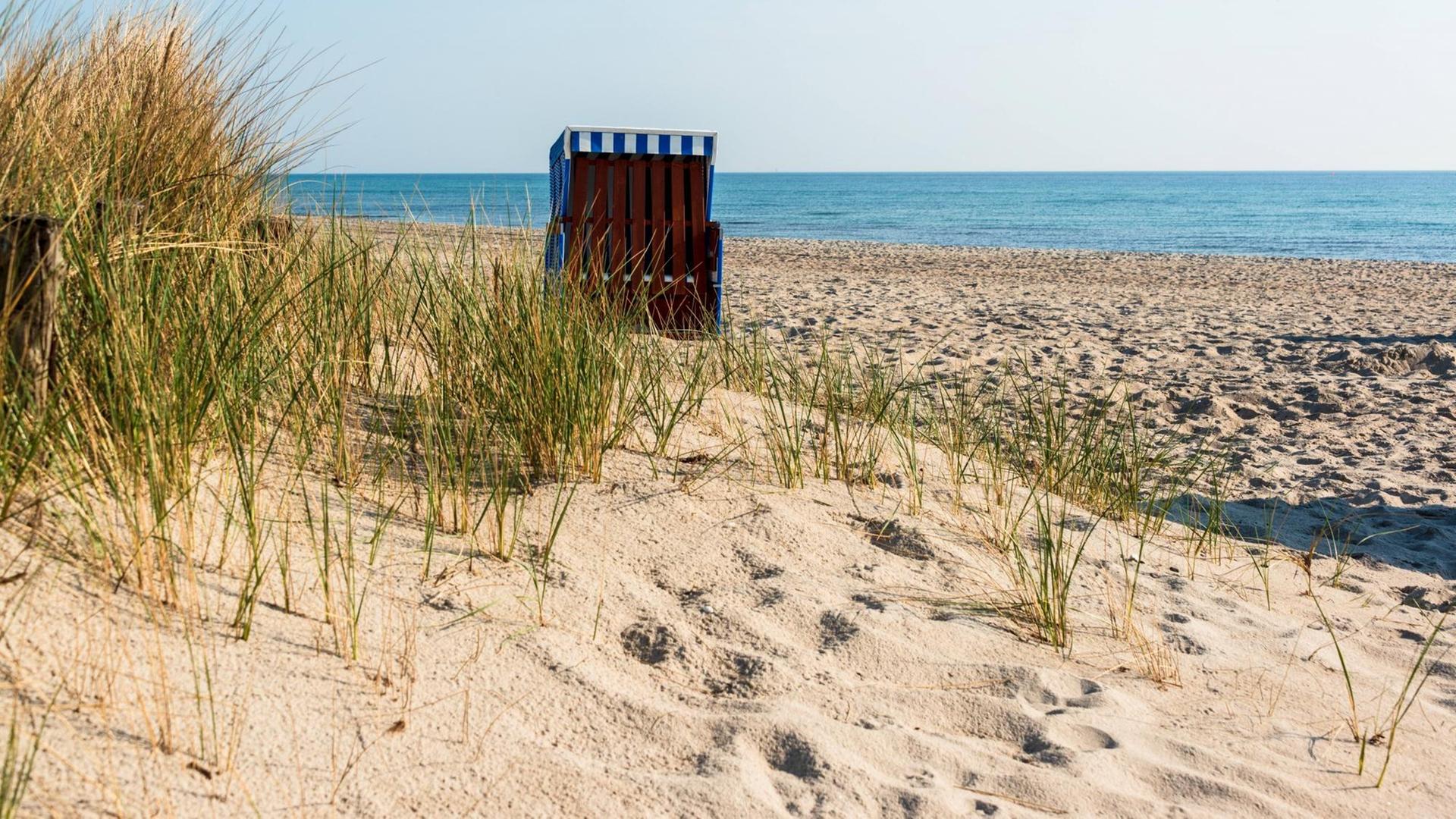 Ostsee-Strand mit Dünen und Strandkorb in der Gemeinde Damp in Schleswig-Holstein.