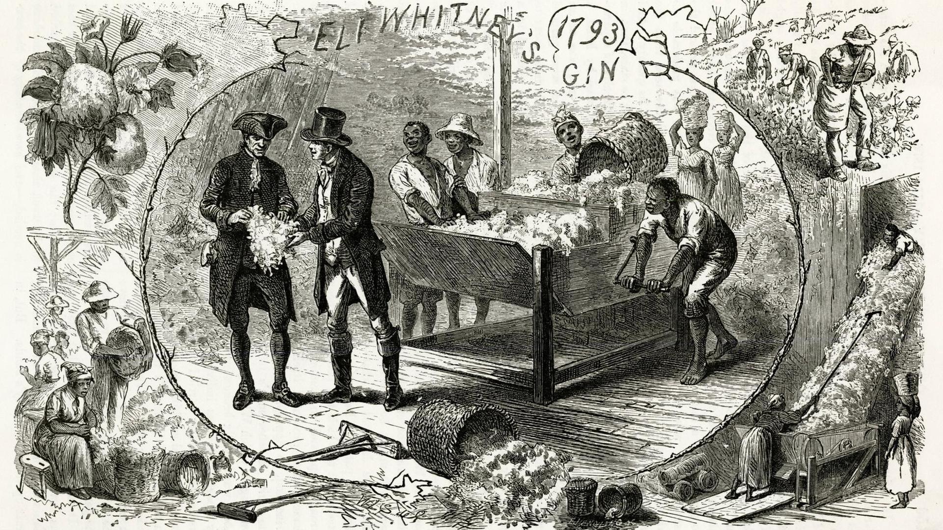 Die Gravur von 1793 zeigt Sklaven, die an der Baumwoll-Entkörnungsmaschine arbeiten. Zwei Männer mit Zylinder prüfen die Baumwolle.