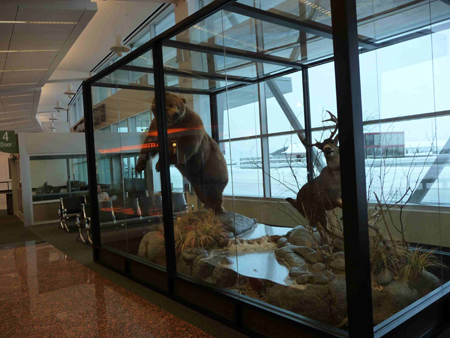 Am Flughafen wimmelt es von ausgestopften Bären Am Flughafen wimmelt es von ausgestopften Bären