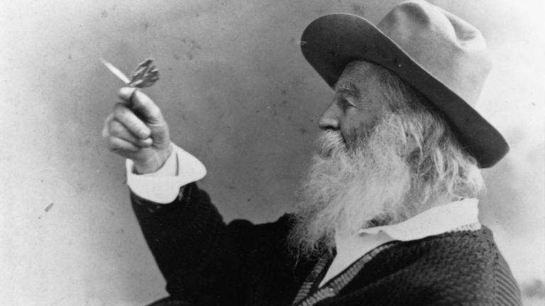 Profilporträt von Walt Whitman, der einen Schmetterling hält.