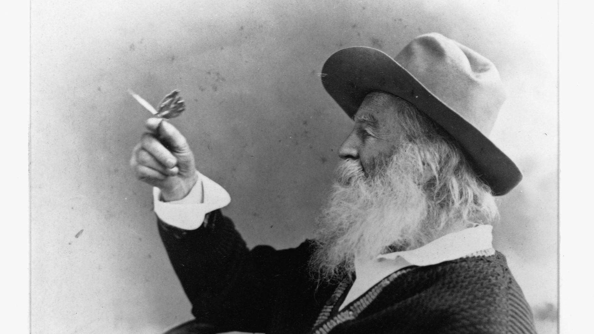 Profilporträt von Walt Whitman, der einen Schmetterling hält. Profilporträt von Walt Whitman, der einen Schmetterling hält.