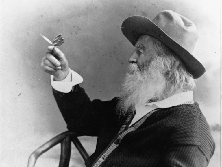 Profilporträt von Walt Whitman, der einen Schmetterling hält.