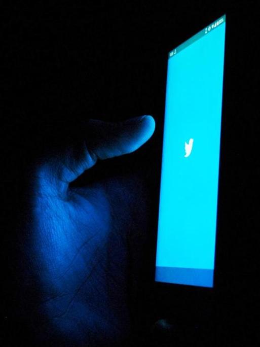 Eine Hand hält im dunklen Raum ein Smartphone mit dem blauen Twitterlogo, das blaue Licht fällt auf Daumen und Handinnenfläche.
