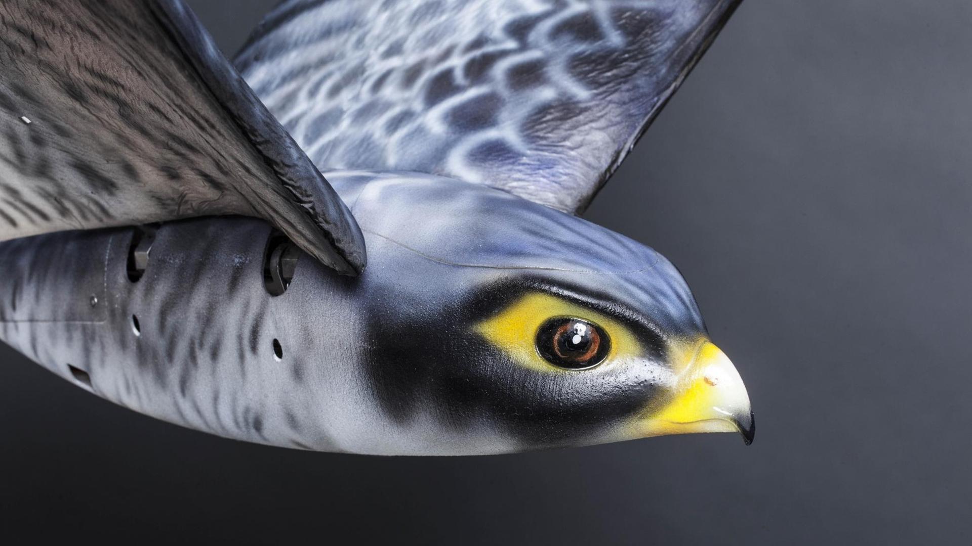 Künstlicher Falke (Drohne)