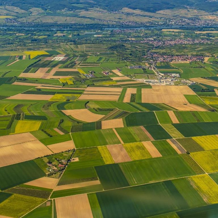 Luftaufnahme landwirtschaftlicher Flächen mit flickenteppichartigen Feldern.