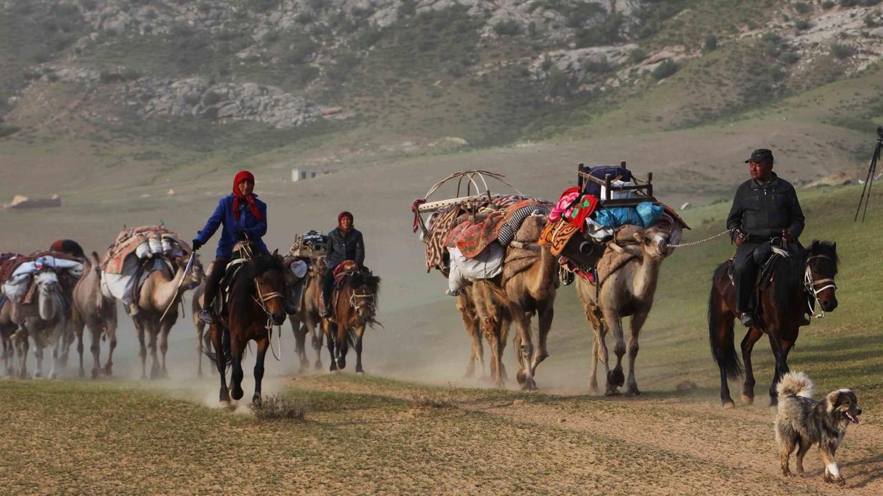 Viehhüter treiben Schafe und Käber über das Grasland im Altai. 